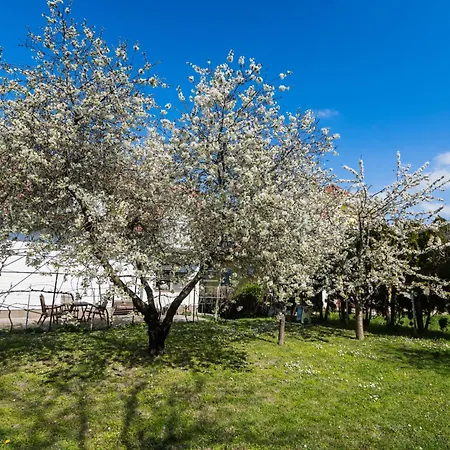 Squash & 公寓式酒店