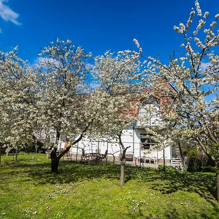 公寓式酒店 Squash & 希欧福克