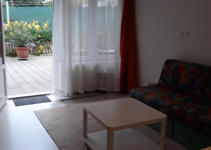 Squash & 希欧福克