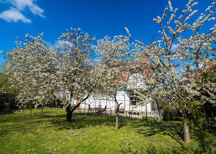 公寓式酒店 Squash & 希欧福克